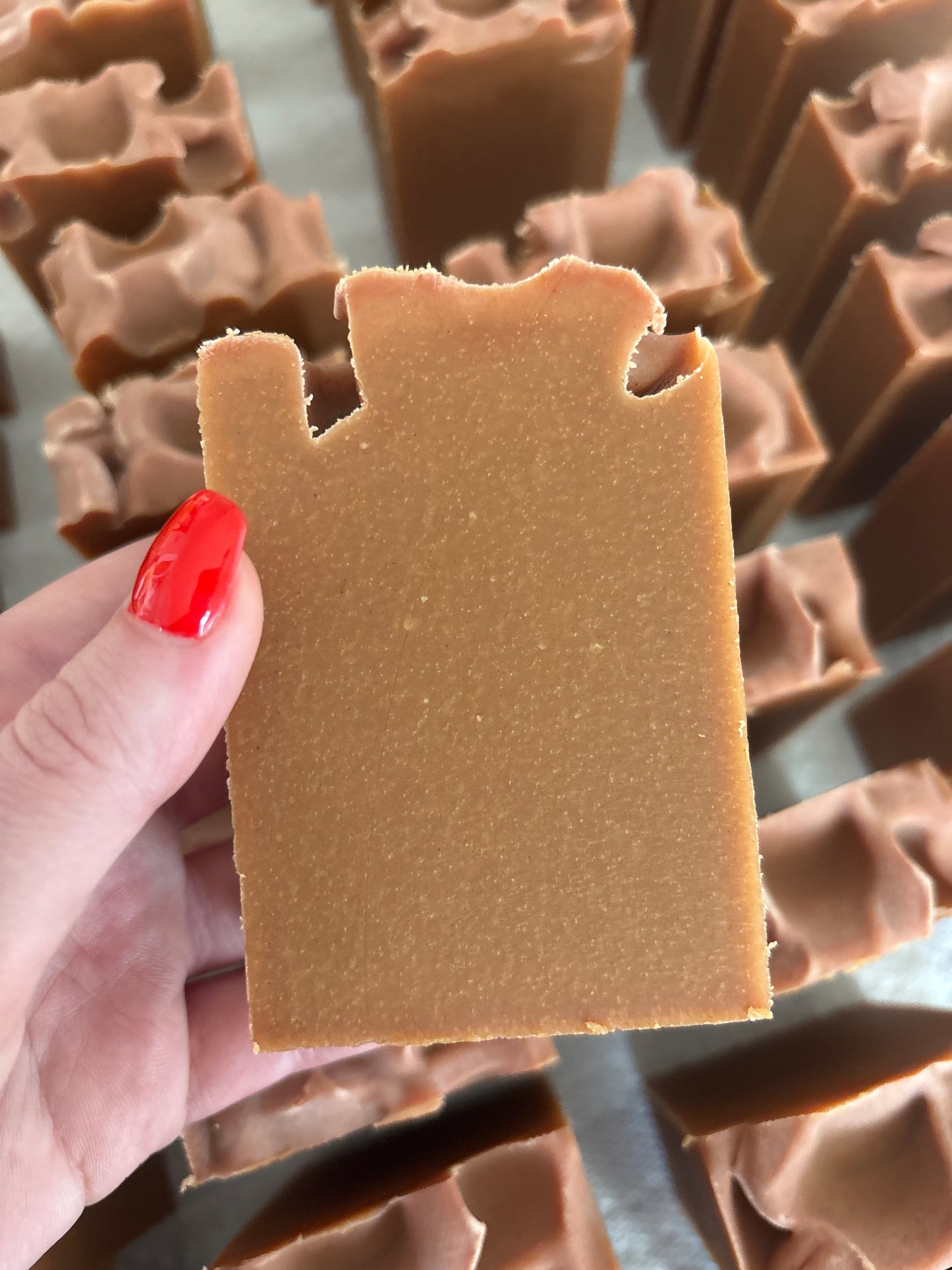 Warm + Welcome Tallow Goat Milk Soap